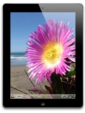EpiCentre to Launch iPad Mini and iPad with Retina Display