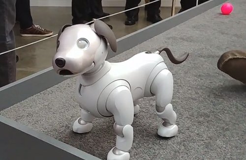 Sony's new Aibo is the cutest tech you'll see this year