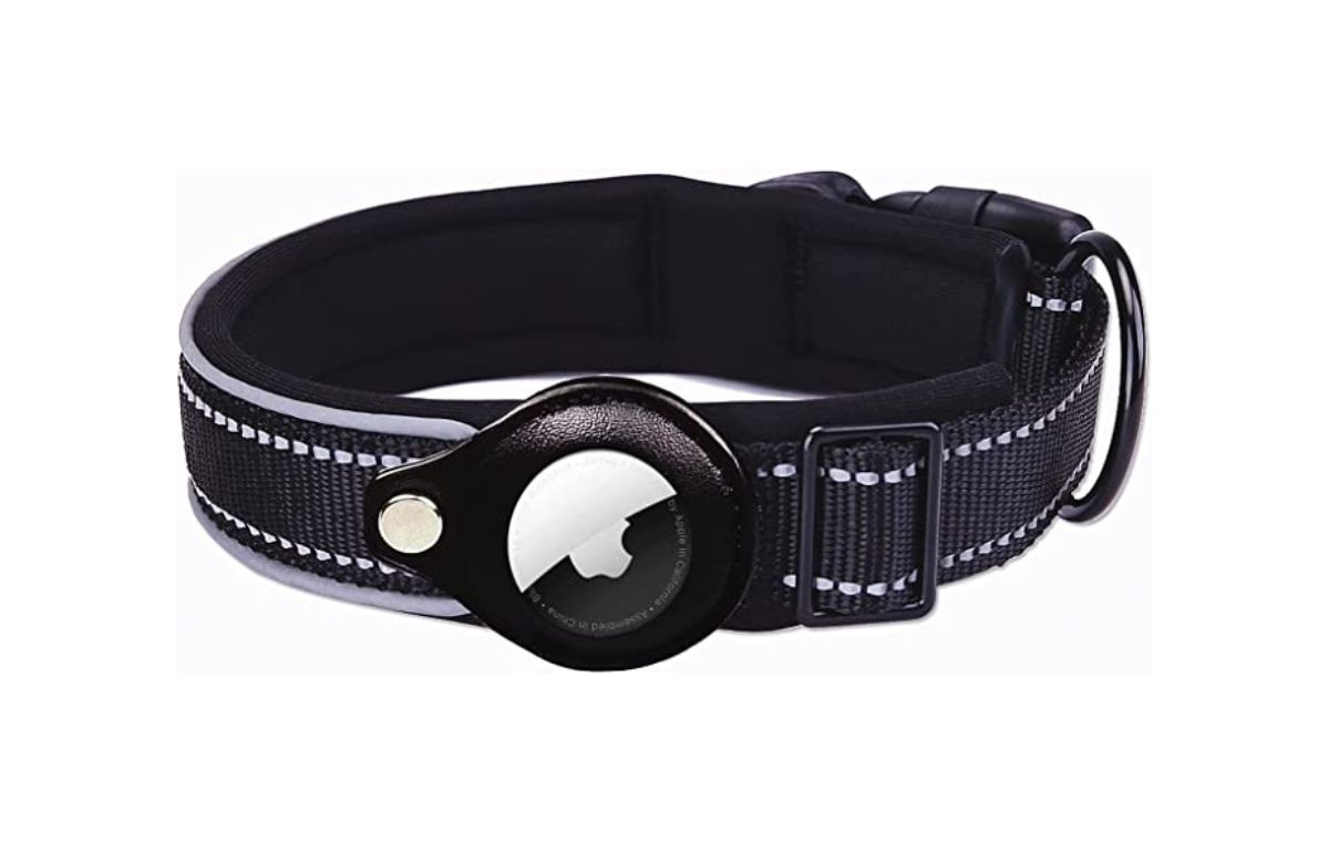 8 great deals on pet tech and gadgets